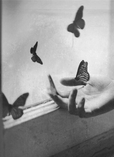 poesie e pensieri sulla libertà