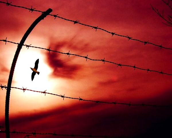 poesie e pensieri sulla libertà