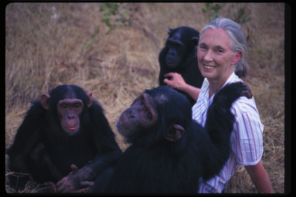 Jane Goodall, biografia e citazioni