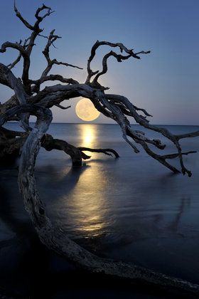 luna sul lago