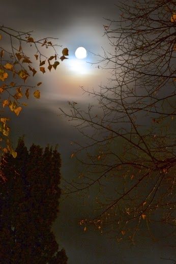 Ciaula scopre la luna Pirandello