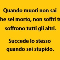 La stupidità, pensieri e citazioni