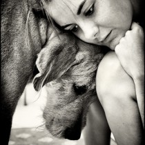 pensieri sul cane
