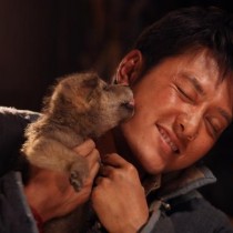 L'Ultimo Lupo ( Wolf Totem), recensione film