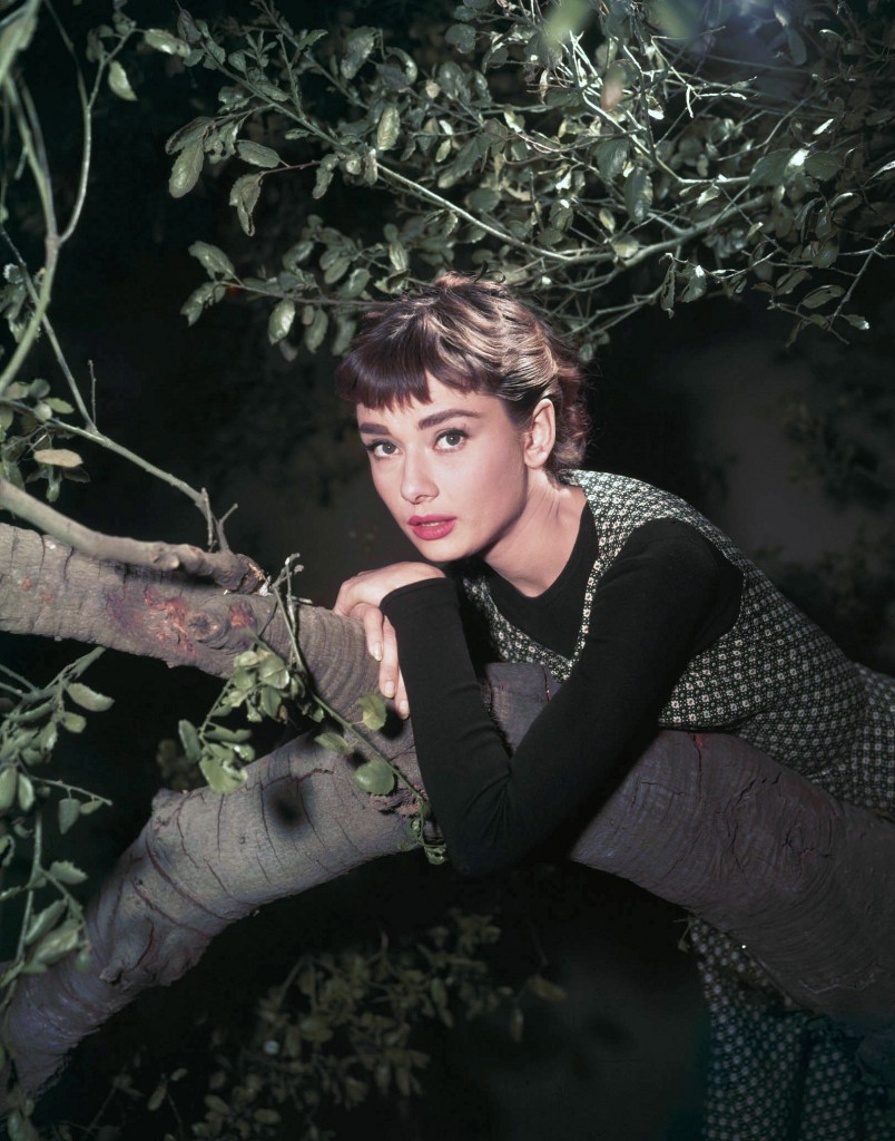Audrey Hepburn, biografia e pensieri