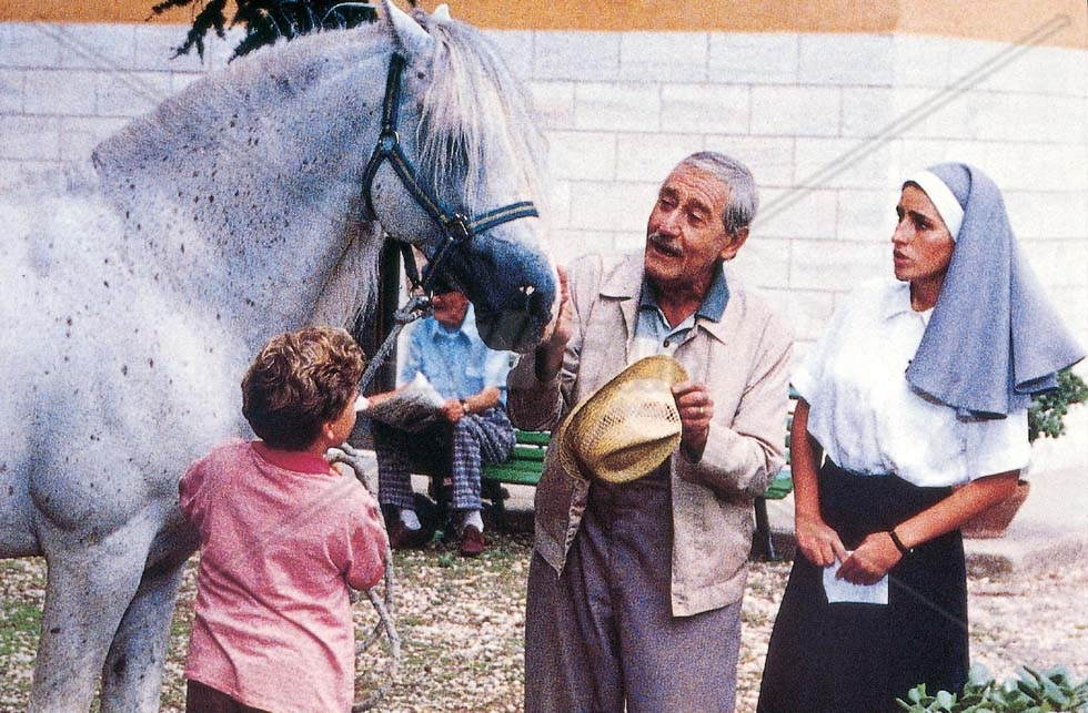  "Nestore - L'ultima corsa" (1993), diretto e interpretato da Alberto Sordi.