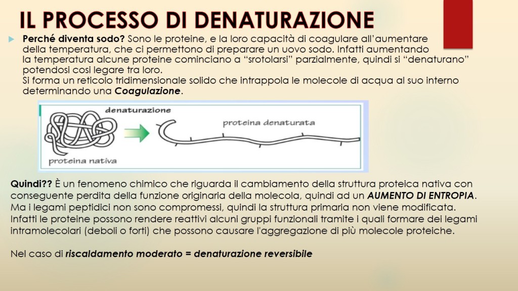 Diapositiva5